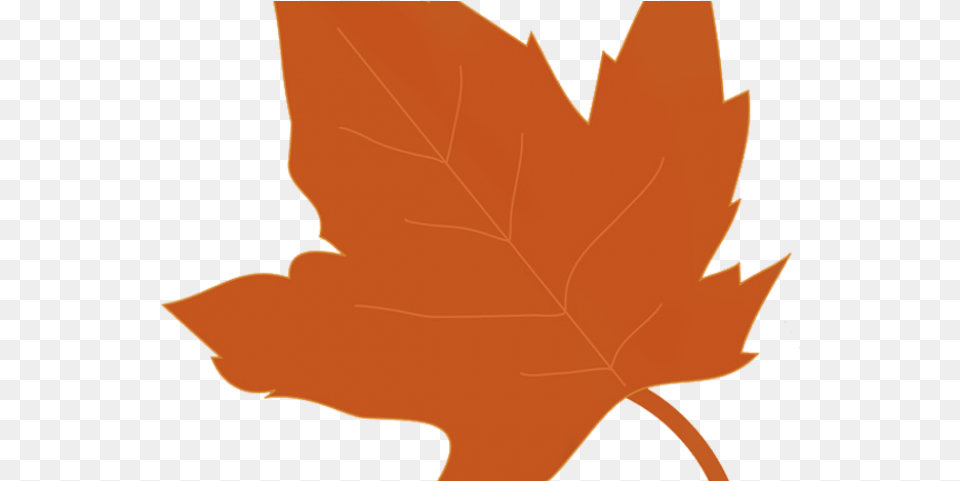 Clipcookdiarynet Autumn Leaves Clipart Autumn Clip Art Leaf With Background, Maple Leaf, Plant, Tree, Baby Free Png Download
