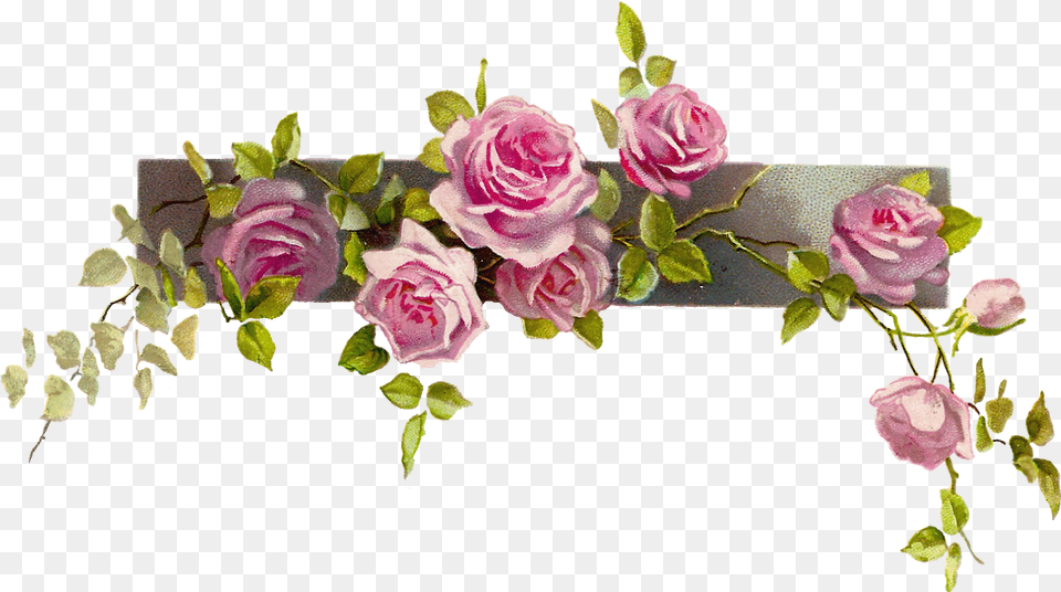 Clipcookdiarynet Pink Rose Clipart Format 25 1600 Vintage Flower Border, Plant, Flower Arrangement, Flower Bouquet, Petal Free Png Download