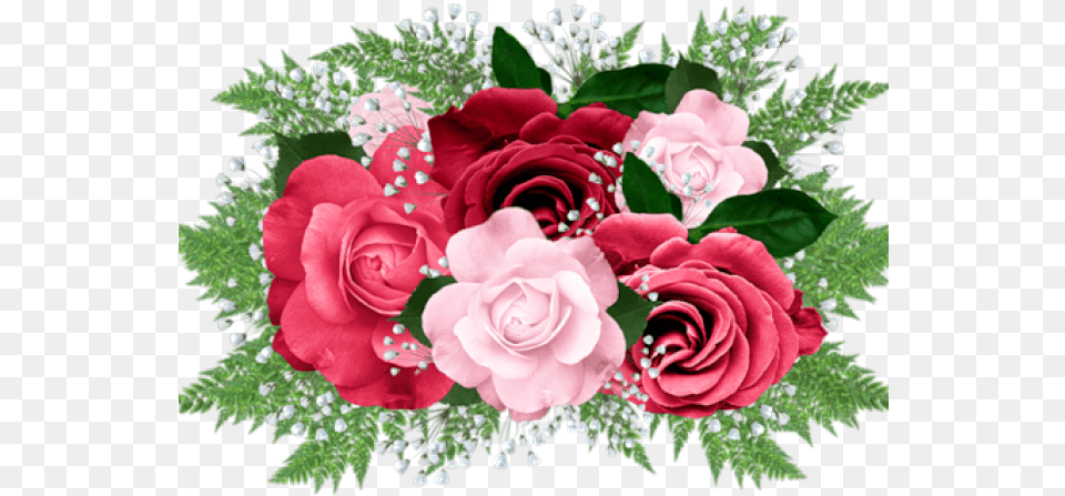 Clipcookdiarynet Pink Rose Clipart Format 25, Flower, Flower Arrangement, Flower Bouquet, Plant Png