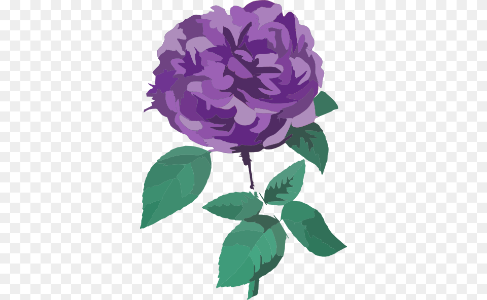 Clipcookdiarynet Purple Rose Clipart Transparent, Plant, Dahlia, Flower, Carnation Png Image