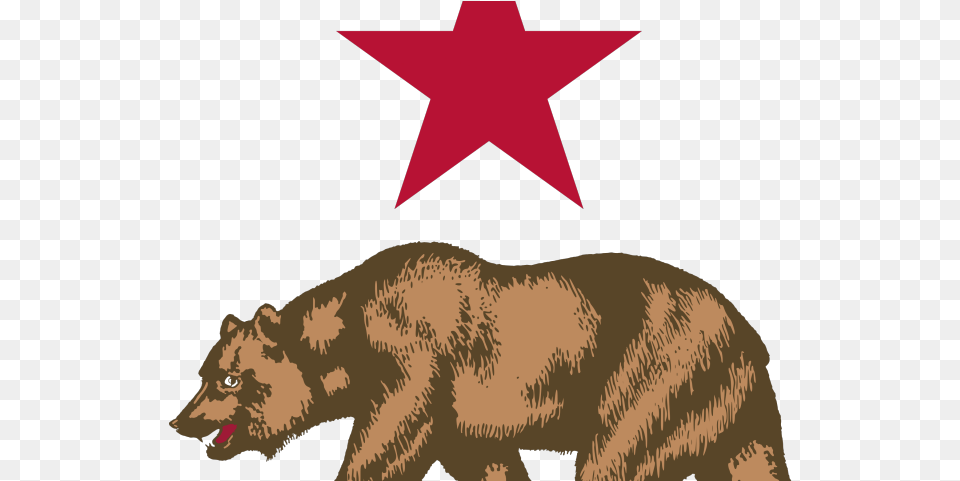 Clipcookdiarynet Sun Bear Clipart Transparent Background New California Republic Flag, Animal, Lion, Mammal, Wildlife Free Png