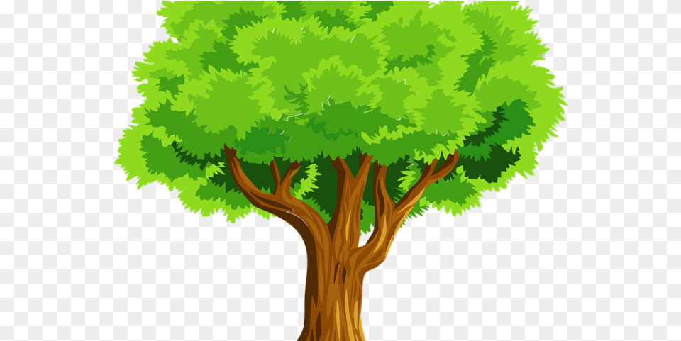 Clipcookdiarynet Tree Clipart Background 17, Vegetation, Plant, Woodland, Outdoors Png