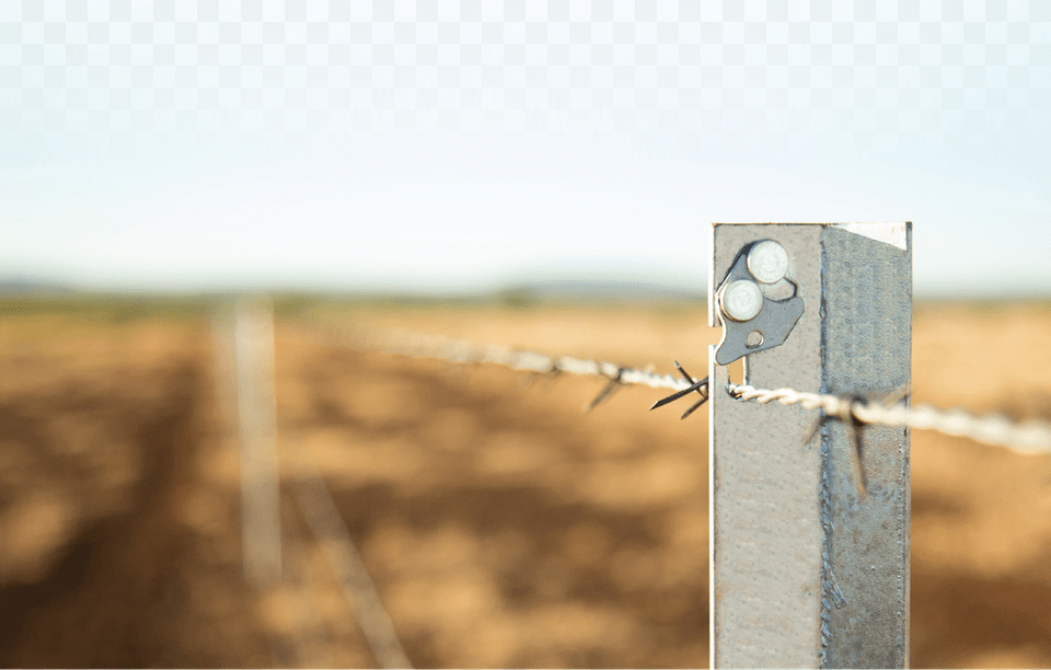 Clipex Barbed Wire, Fence, Outdoors Free Transparent Png