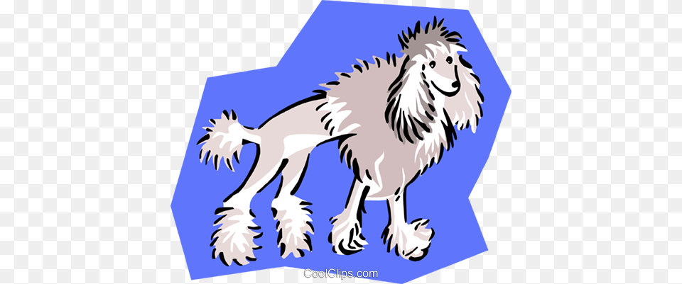Clipped Poodle Royalty Vector Clip Art Illustration, Animal, Lion, Mammal, Wildlife Png