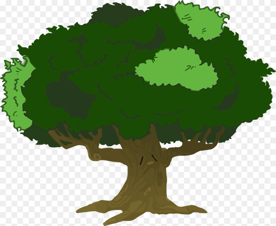Clker Cartoon Tree With Branches, Green, Plant, Potted Plant, Vegetation Free Transparent Png