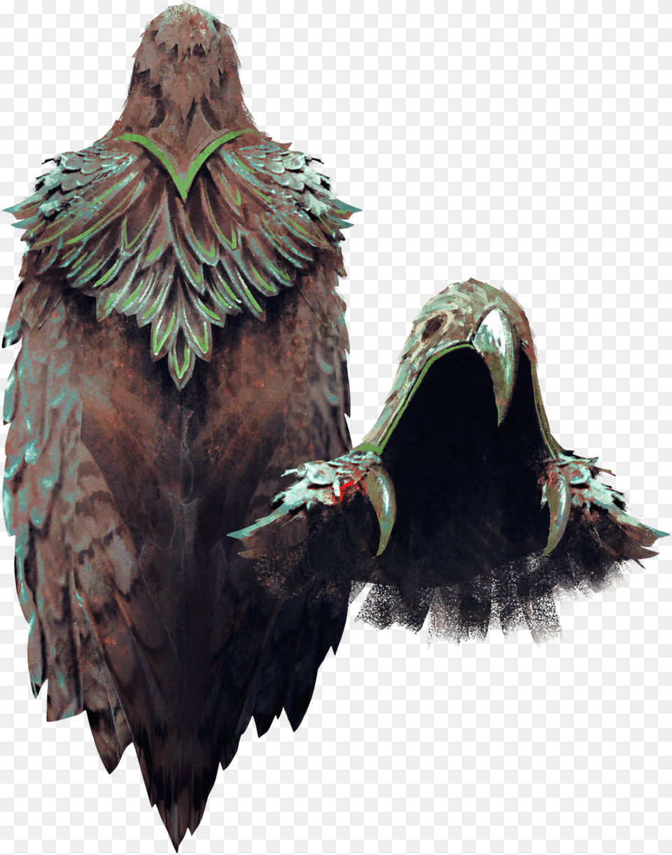 Cloak Of The Seahawk, Animal, Beak, Bird, Vulture Free Png