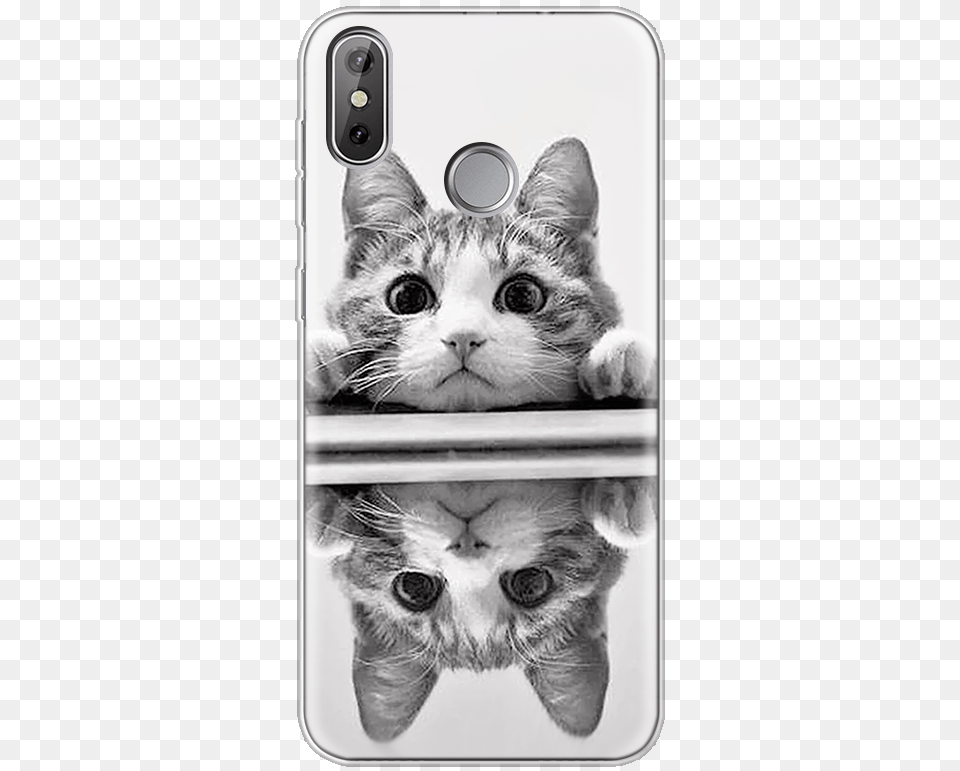 Clock Gif Cat, Electronics, Mobile Phone, Phone, Animal Png Image