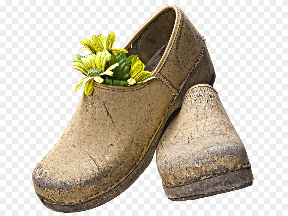 Clogs Clothing, Footwear, Shoe, Plant Free Transparent Png