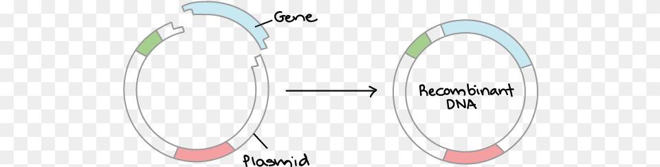 Clonagem De Dna, Hoop, Smoke Pipe Png