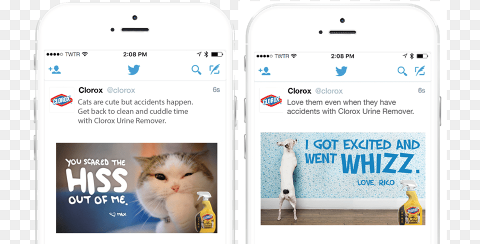 Clorox Twitter Ads Martha Lees Domestic Short Haired Cat, Phone, Electronics, Animal, Pet Free Png