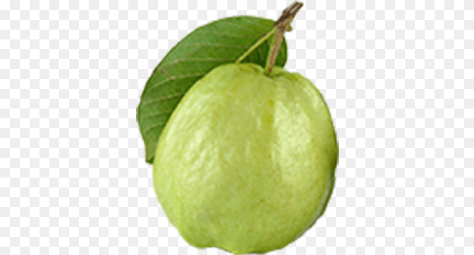 Close Lemon, Leaf, Plant, Food, Fruit Png