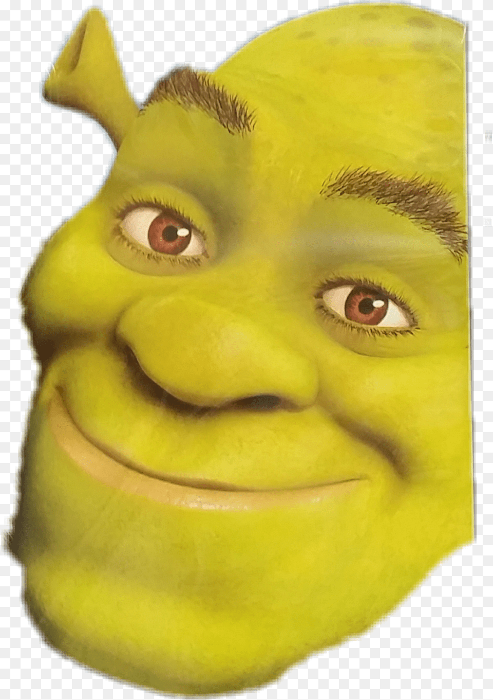 Close Up Clipart Close Up Shrek Face, Baby, Person, Head, Cartoon Free Transparent Png