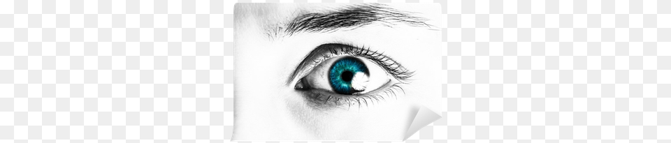 Close Up Portrait Of A Beautiful Female Eye Wall Mural Close Up, Art, Drawing, Animal, Fish Free Transparent Png