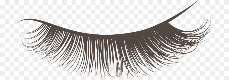 Closed Eyelashes Eyelash Extensions, Accessories, Jewelry, Necklace, Chandelier Png Image