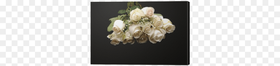 Closeup Of A Dozen White Roses Canvas Print Pixers Rose, Art, Floral Design, Flower, Flower Arrangement Free Png Download