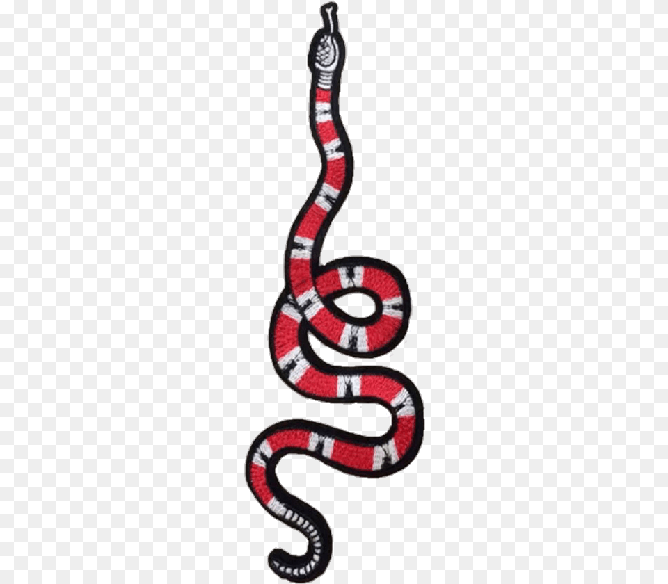 Clothes Clothes Food Serpent, Animal, Reptile, Snake, King Snake Free Png Download