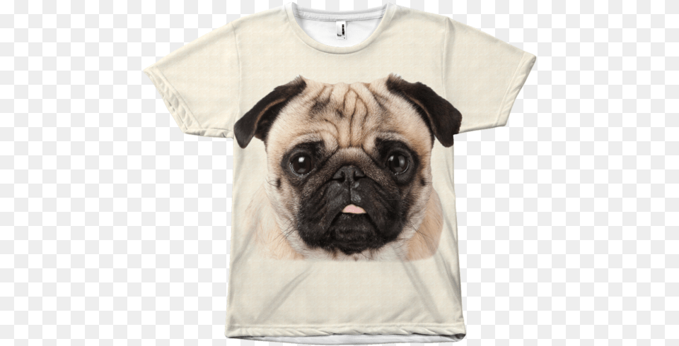 Clothing, T-shirt, Animal, Canine, Dog Free Png