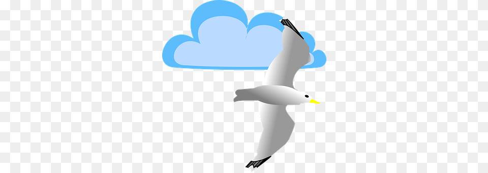 Cloud Animal, Seagull, Waterfowl, Bird Png Image