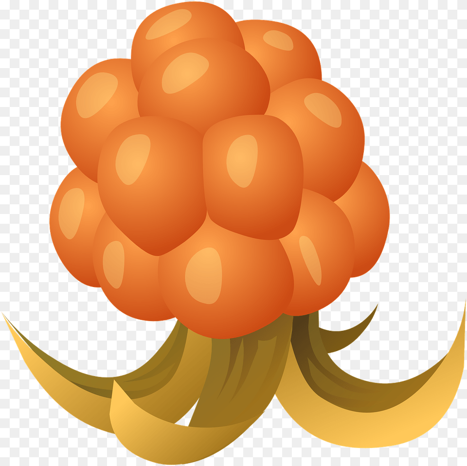 Cloudberry Clipart, Berry, Food, Fruit, Plant Png Image