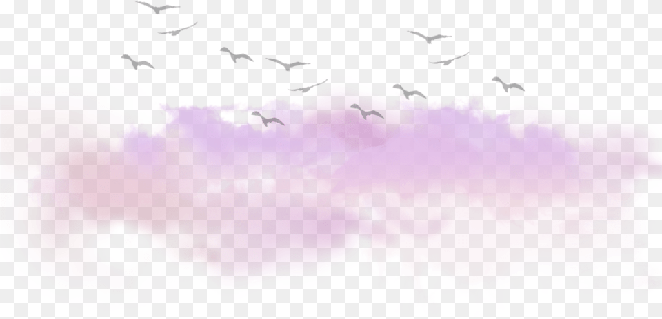 Clouds Cloud Birds Tumblr Kawaii Ftestickers Bird Migration, Purple, Animal, Fish, Sea Life Free Png