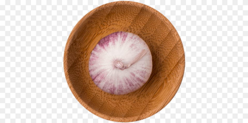 Clove Circle, Food, Produce, Onion, Plant Png