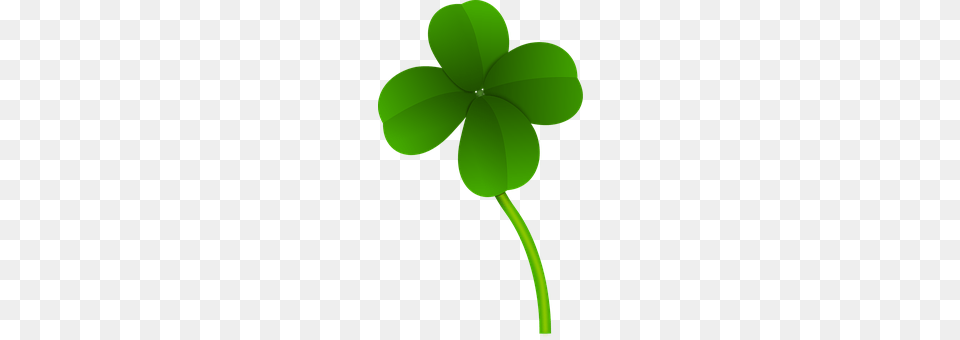Clover Green, Leaf, Plant, Person Png Image