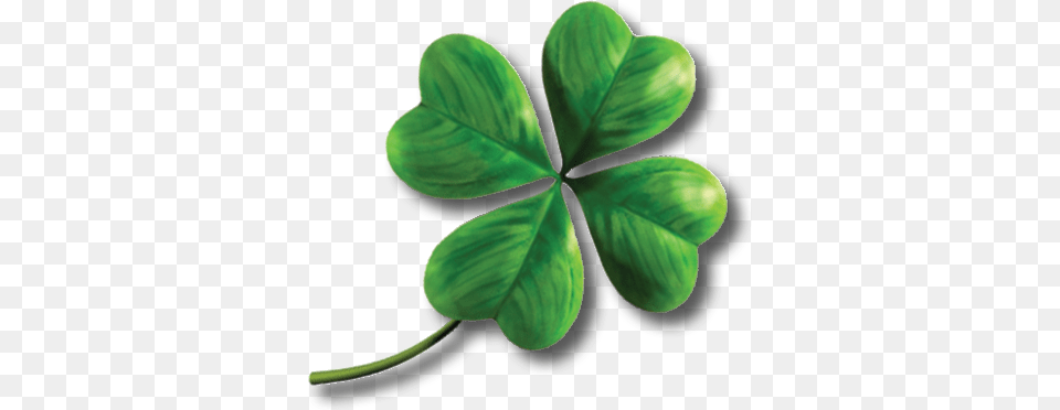 Clover, Leaf, Plant Png Image