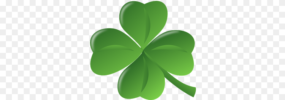 Clover Plant, Leaf, Green, Accessories Free Png Download
