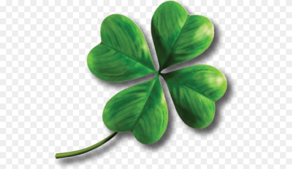 Clover, Leaf, Plant Free Png Download