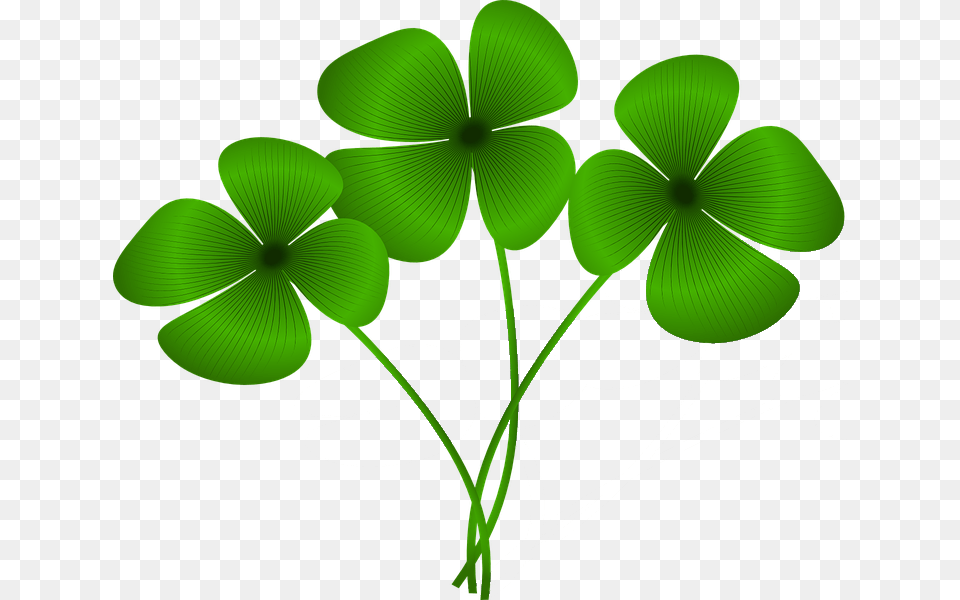 Clover Clipart Good Luck Best Of Luck In Marathi, Green, Leaf, Plant Free Png