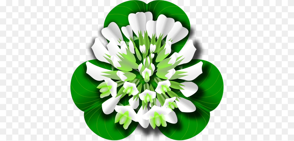 Clover Flower, Green, Leaf, Plant, Art Free Png