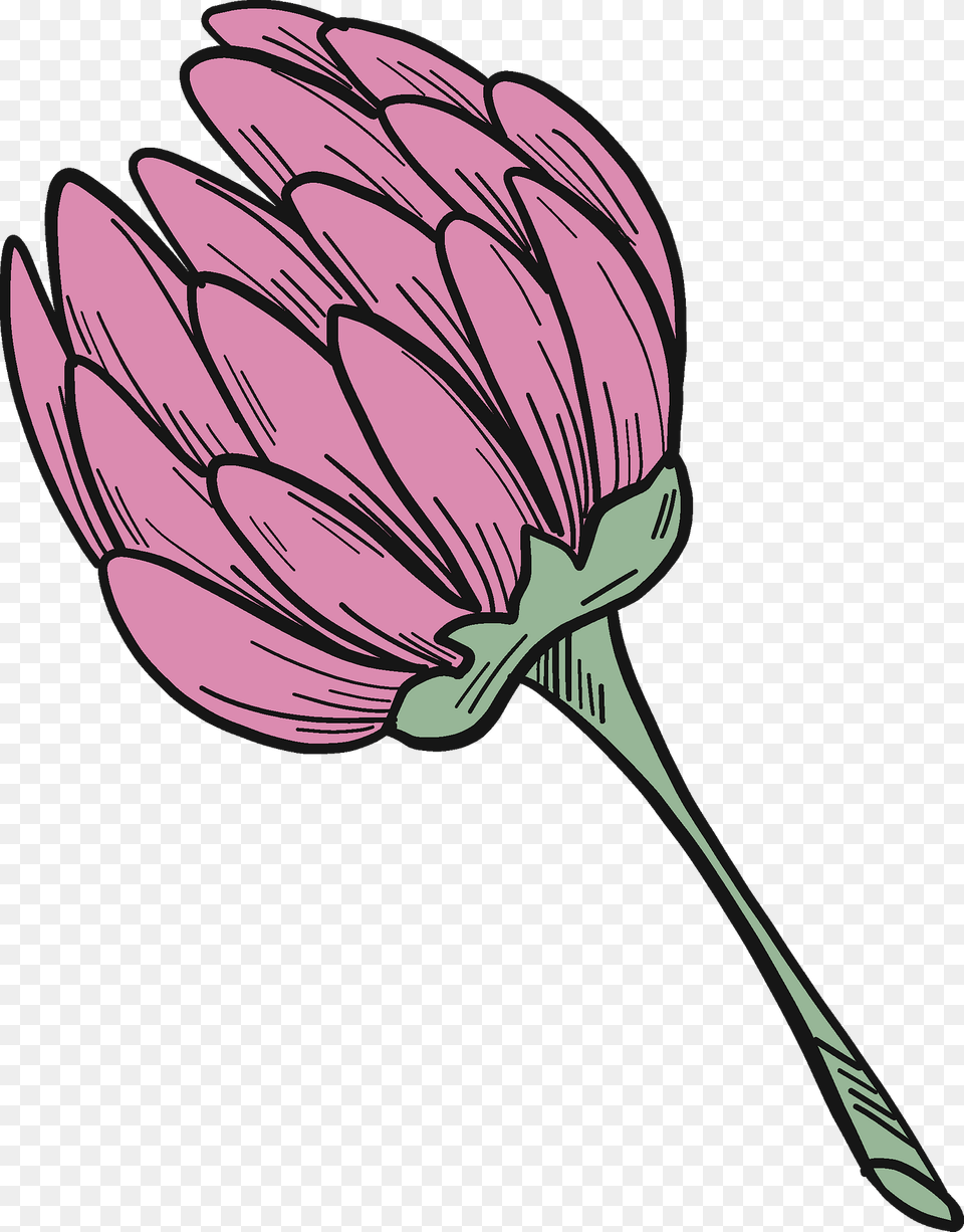 Clover Flower Clipart, Dahlia, Plant, Daisy, Art Free Transparent Png