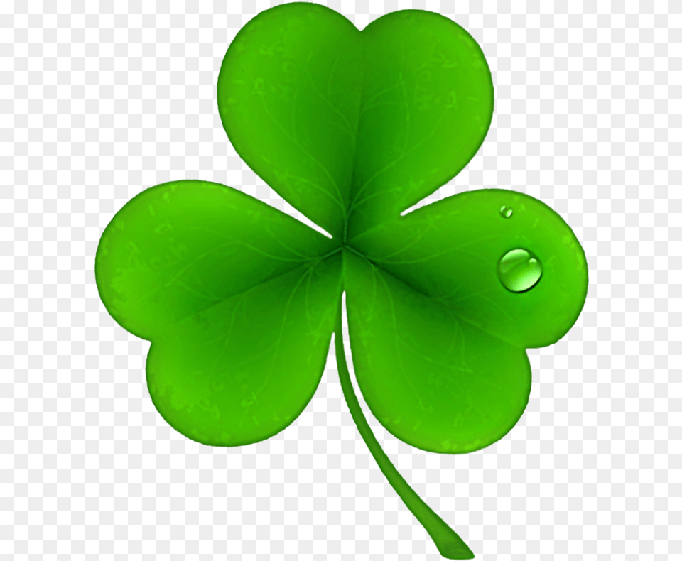 Clover Flower Transparent St Patricks Shamrock Clover, Green, Leaf, Plant Free Png Download