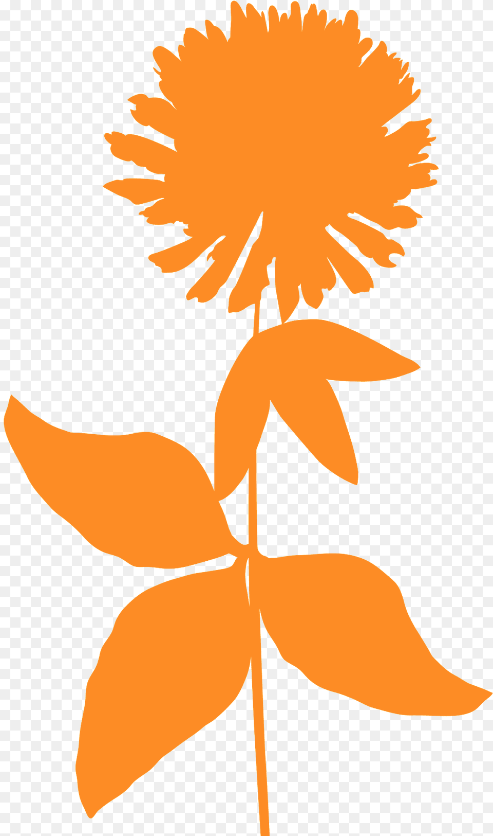 Clover Flower Silhouette, Plant, Leaf, Person, Petal Free Png