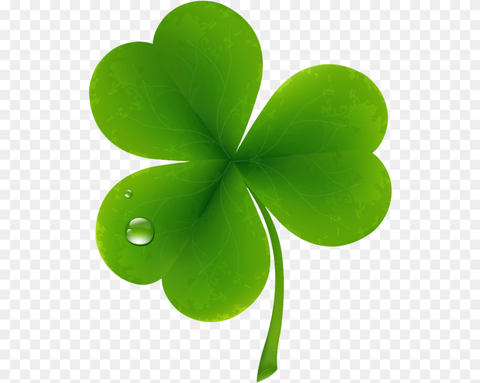 Clover Leaf, Green, Plant, Droplet Png Image