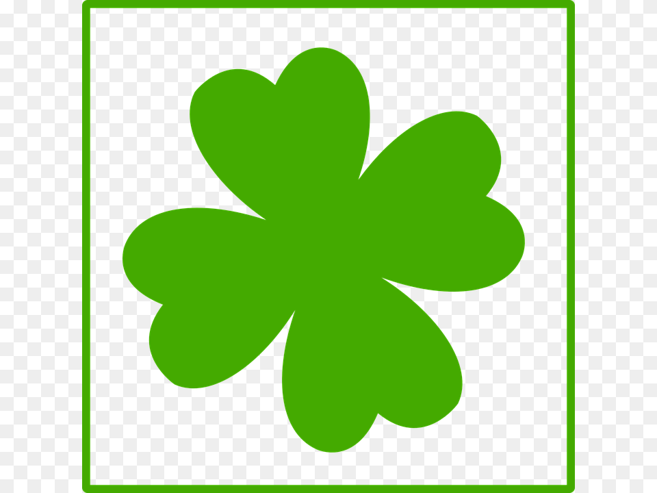 Clover Pictures Gallery Images, Green, Leaf, Plant, Astronomy Free Png