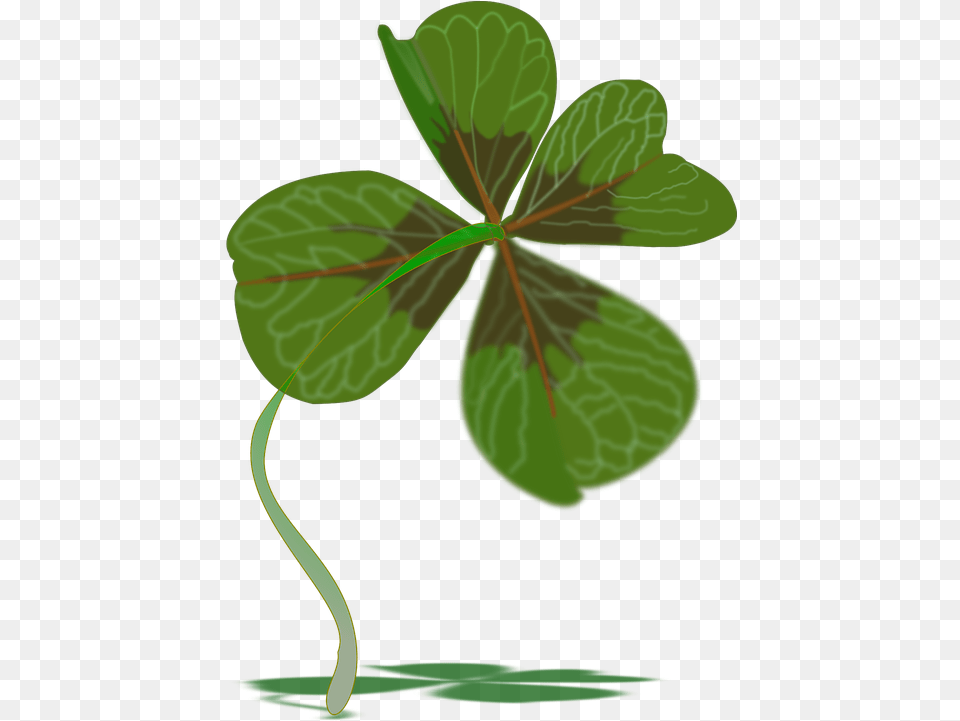Clover Plant Luck Green Koniczyna, Leaf Free Transparent Png