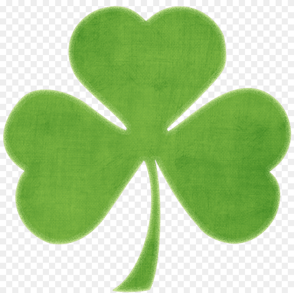 Clover Shamrock, Green, Leaf, Plant, Home Decor Free Png