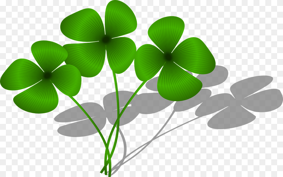 Clovers Luck Flora Green Plant Symbol Clovers Clipart, Leaf, Flower Free Png