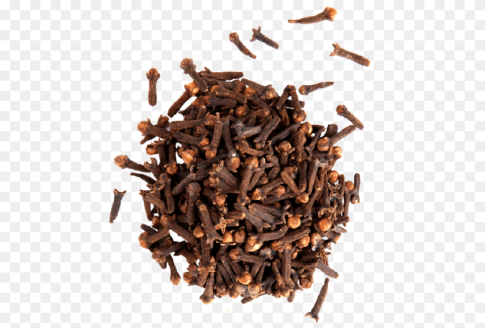 Cloves 2 Home Remedy For Dog Worms, Plant, Food Png Image