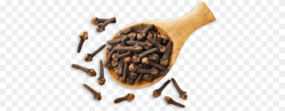 Cloves, Cutlery, Spoon Png