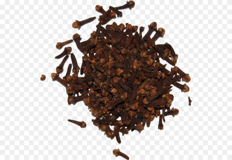 Cloves Tea, Plant, Fungus, Tobacco Free Png Download