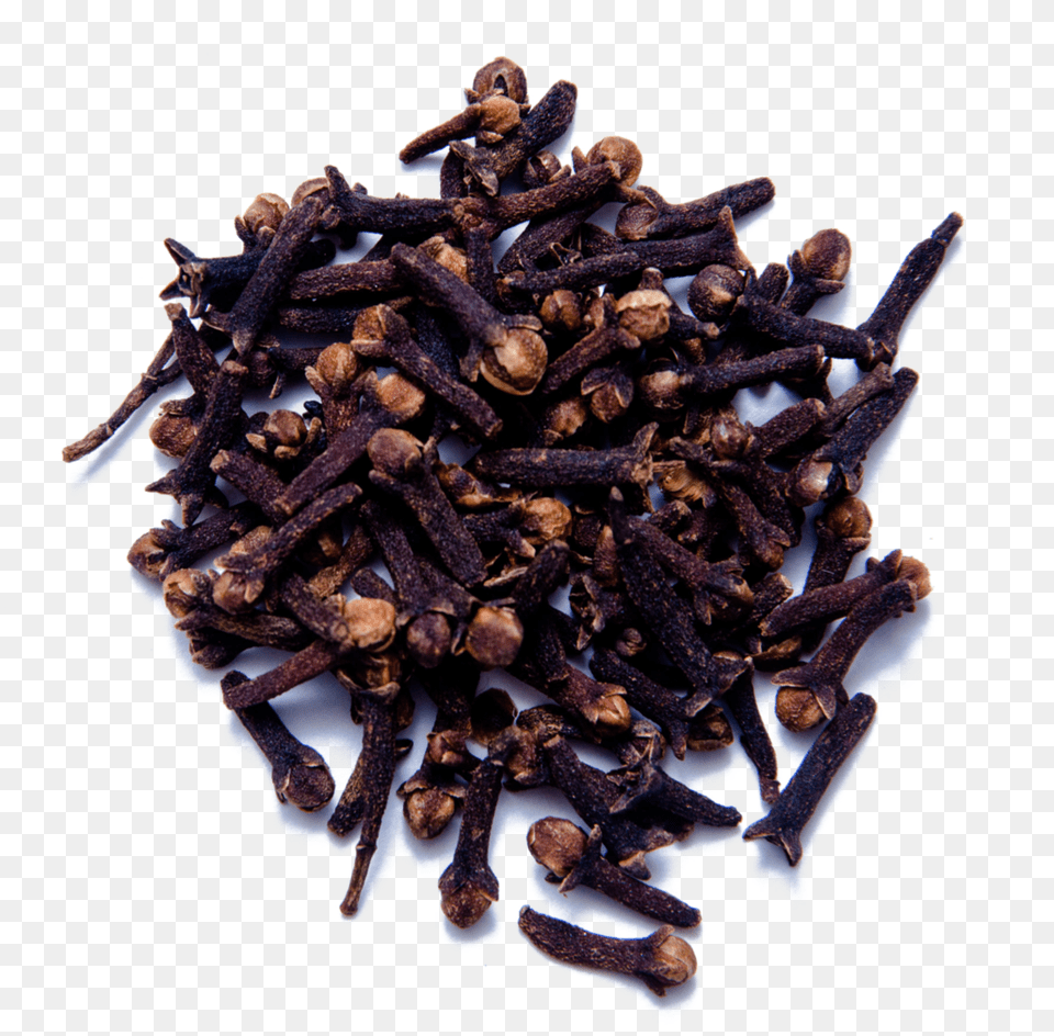 Cloves Whole Syzygium Aromaticum, Food Png Image