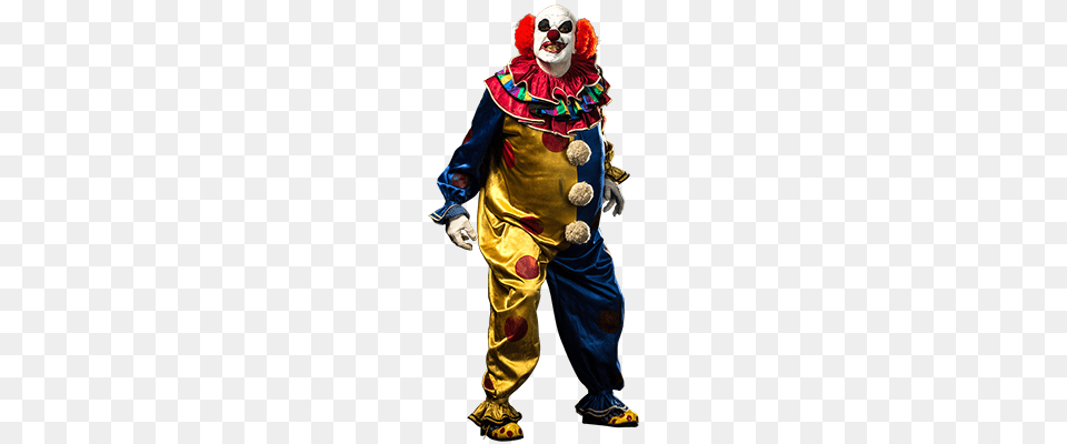 Clown, Adult, Female, Performer, Person Free Transparent Png