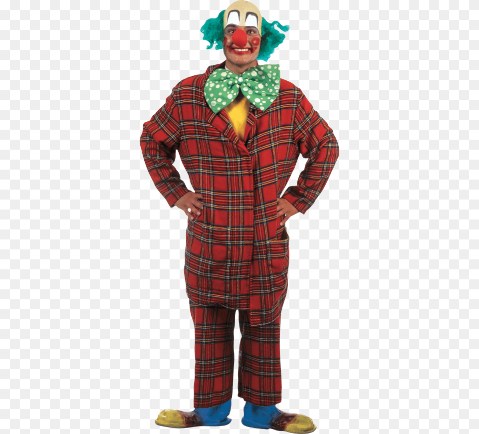 Clown, Adult, Person, Man, Male Free Transparent Png