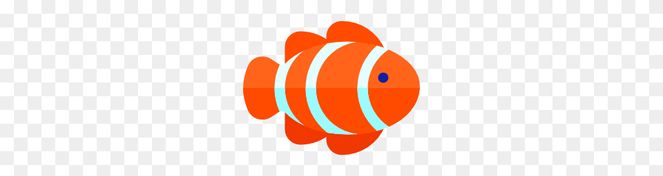 Clown Fish, Animal, Dynamite, Sea Life, Weapon Free Transparent Png