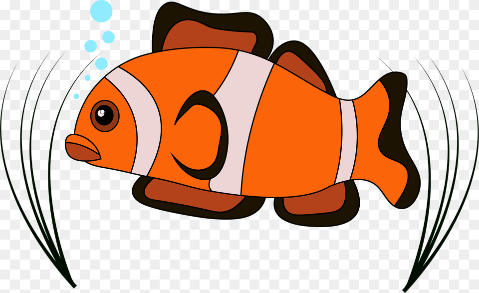 Clown Fish Clipart, Amphiprion, Animal, Sea Life, Shark Png Image