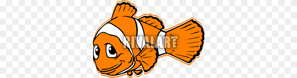 Clown Fish Clipart, Amphiprion, Animal, Sea Life, Baby Free Png