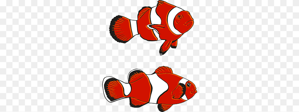 Clown Fish Clipart, Amphiprion, Animal, Sea Life, Maroon Png Image