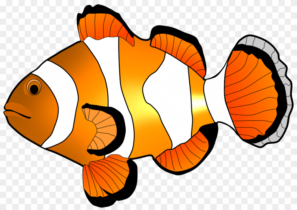 Clown Fish Clipart At Getdrawings Fish Clipart, Amphiprion, Animal, Sea Life, Baby Png Image